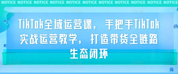TikTok全域运营课，手把手TikTok实战运营教学，打造带货全链路生态闭环-wanlih项目库