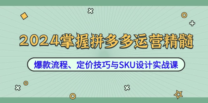 2024掌握拼多多运营精髓：爆款流程、定价技巧与SKU设计实战课-wanlih项目库