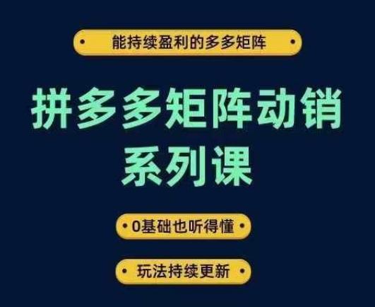 拼多多矩阵动销系列课，能持续盈利的多多矩阵，0基础也听得懂，玩法持续更新-wanlih项目库