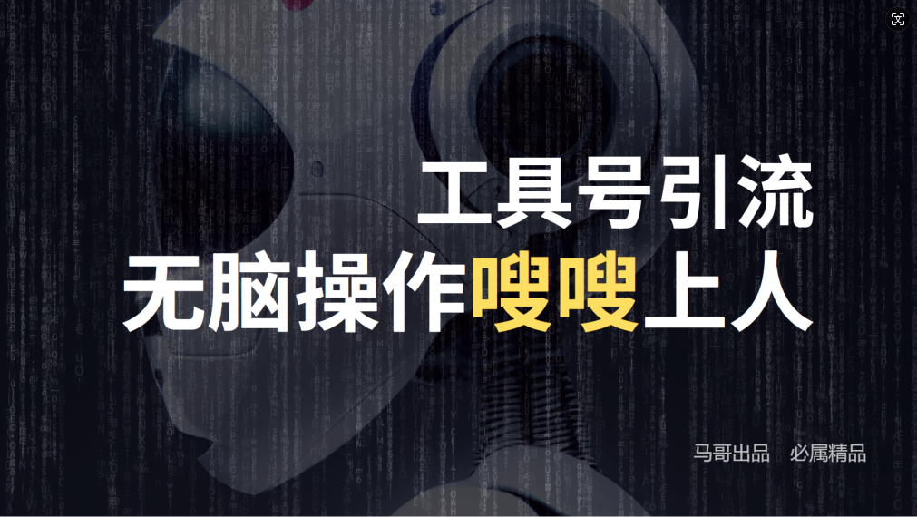 24年抖音最新工具号日引流300+创业粉，日入5000+-wanlih项目库