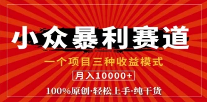 视频号最新爆火赛道，三种可收益模式，0粉新号条条原创条条热门 日入1000+-wanlih项目库
