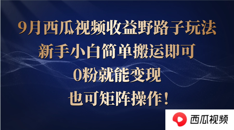 西瓜视频收益野路子玩法，新手小白简单搬运即可，0粉就能变现，也可矩…-wanlih项目库