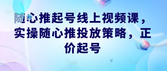 随心推起号线上视频课，实操随心推投放策略，正价起号-wanlih项目库