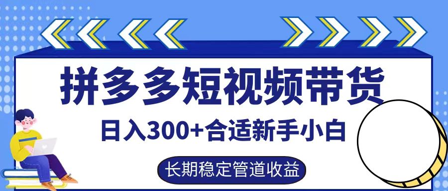 拼多多短视频带货日入300+，实操账户展示看就能学会-wanlih项目库