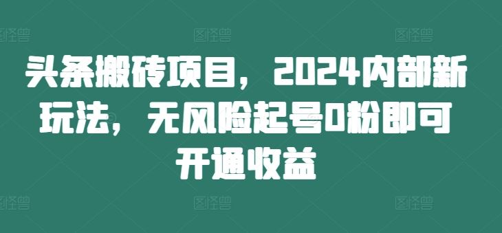 头条搬砖项目，2024内部新玩法，无风险起号0粉即可开通收益-wanlih项目库