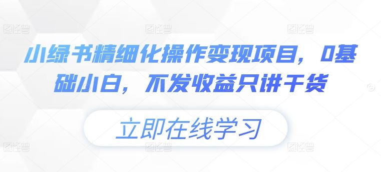 小绿书精细化操作变现项目，0基础小白，不发收益只讲干货-wanlih项目库