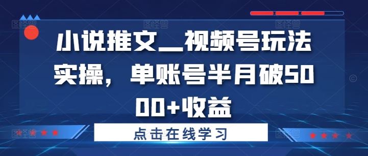 小说推文—视频号玩法实操，单账号半月破5000+收益-wanlih项目库