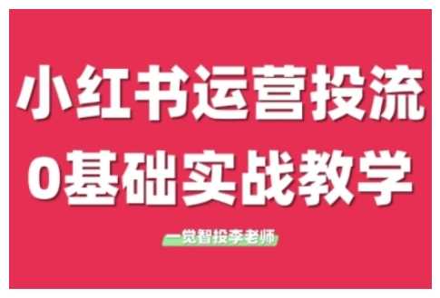 小红书运营投流，小红书广告投放从0到1的实战课，学完即可开始投放-wanlih项目库