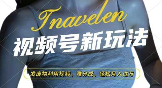 视频号新玩法，废物利用视频，撸分成收益，轻松月入过W【揭秘】-wanlih项目库