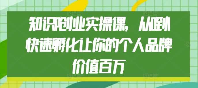 知识IP创业实操课，从0到1快速孵化让你的个人品牌价值百万-wanlih项目库