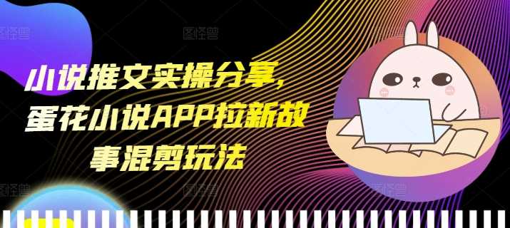 小说推文实操分享，蛋花小说APP拉新故事混剪玩法-wanlih项目库