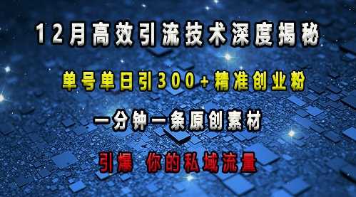 最新高效引流技术深度揭秘 ，单号单日引300+精准创业粉，一分钟一条原创素材，引爆你的私域流量-wanlih项目库