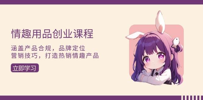 （13682期）情趣用品创业课程：涵盖产品合规，品牌定位，营销技巧，打造热销情趣产品-wanlih项目库