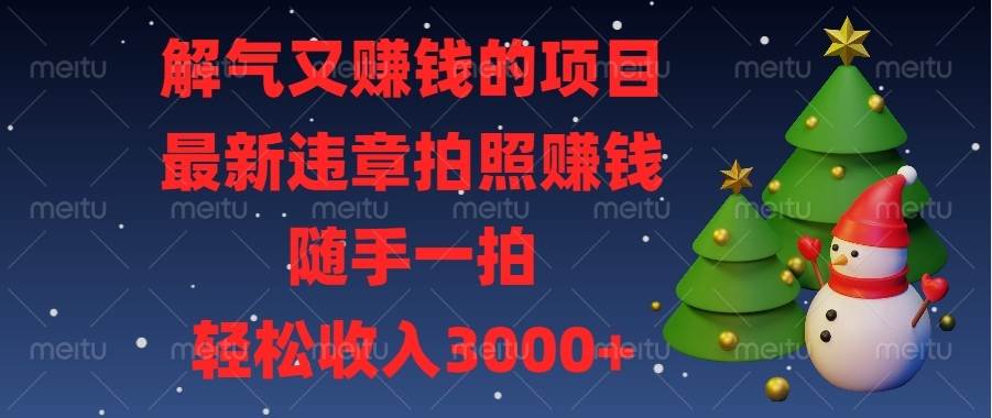 （13686期）解气又赚钱的项目，最新违章拍照赚钱，随手一拍，轻松收入3000+-wanlih项目库