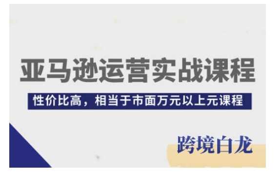 亚马逊运营实战课程，亚马逊从入门到精通，性价比高，相当于市面万元以上元课程-wanlih项目库
