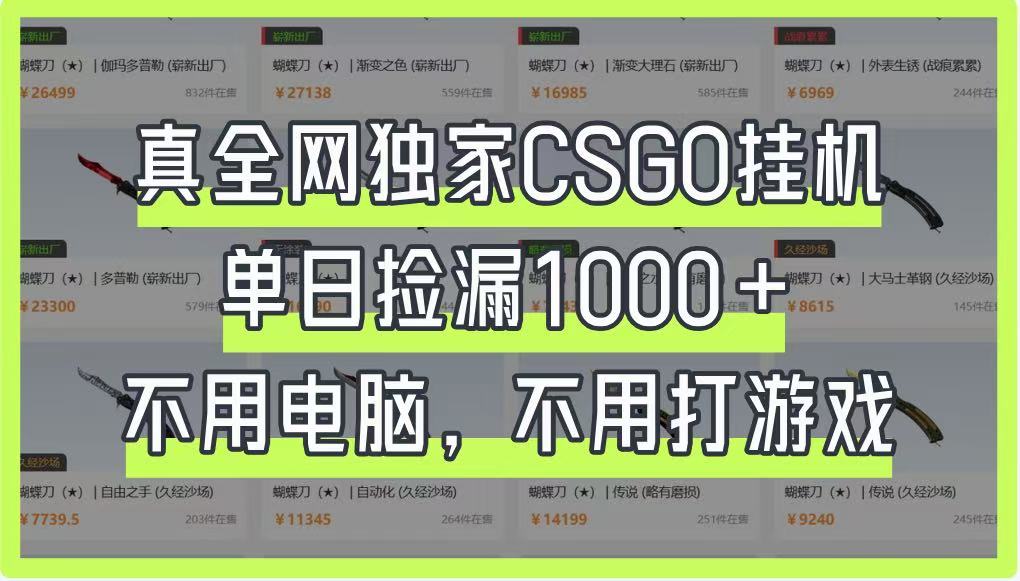 真全网独家CSGO挂机，单日捡漏1000+，不用电脑，不用养号-wanlih项目库