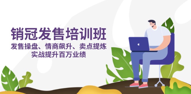 销冠 发售培训班：发售 操盘+情商 飙升+卖点 提炼，实战提升百万业绩-wanlih项目库
