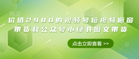 价值2980的视频号短视频橱窗带货和公众号小绿书图文带货-wanlih项目库