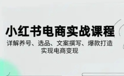 小红书从0-1实操课(2023-2025)，详解养号、选品、文案撰写、爆款打造实现电商变现-wanlih项目库
