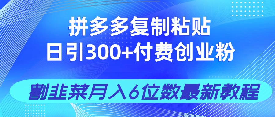 拼多多复制粘贴日引300+付费创业粉，割韭菜月入6位数最新教程！-wanlih项目库