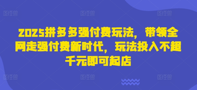 2025拼多多强付费玩法，带领全网走强付费新时代，玩法投入不超千元即可起店-wanlih项目库