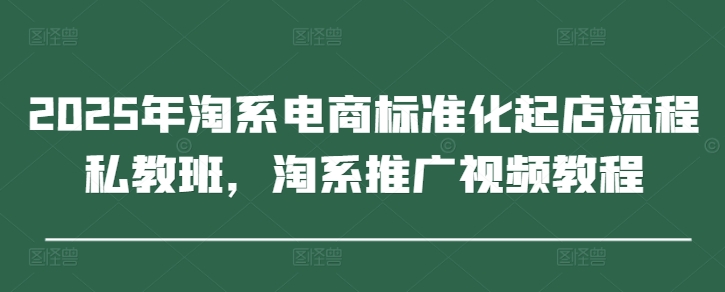 2025年淘系电商标准化起店流程私教班，淘系推广视频教程-wanlih项目库