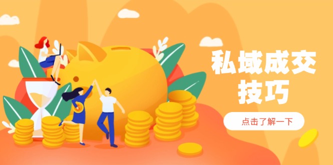 私域成交技巧，帮你从入门到精通，破解四大痛点，快速变现，轻松收钱-wanlih项目库