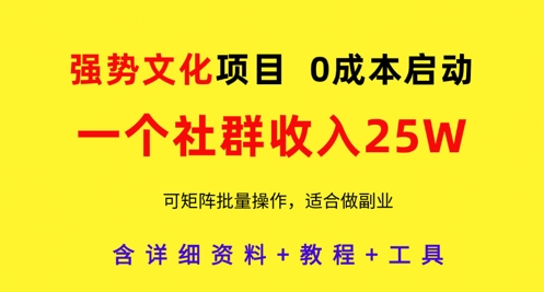 强势文化项目，一个社群收入25个W，0成本启动，可矩阵批量操作，原创详细实操教程-wanlih项目库
