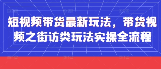短视频带货最新玩法，带货视频之街访类玩法实操全流程-wanlih项目库