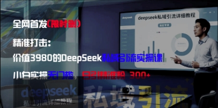 精准打击：价值3980的DeepSeek私域引流实操课，小白实操无门槛，日引精准粉300+-wanlih项目库