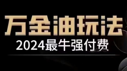 2024最牛强付费，万金油强付费玩法，干货满满，全程实操起飞(更新25年04月)-wanlih项目库