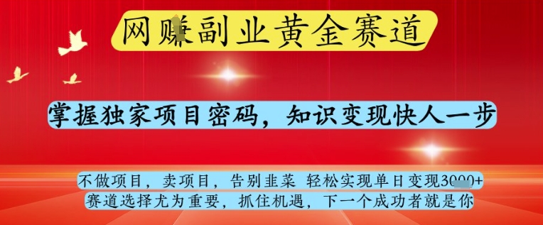 网创副业黄全赛道，掌握独家项目密码，知识变现快人一步，告别韭菜轻松实现单日变现1k+【揭秘】-wanlih项目库