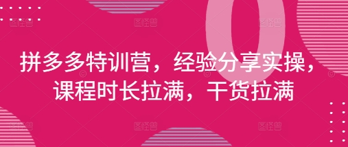 拼多多特训营，经验分享实操，课程时长拉满，干货拉满(更新25年4月)-wanlih项目库