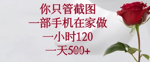 你只管截图，一部手机在家可以做，一小时120.一天5张+【揭秘】-wanlih项目库