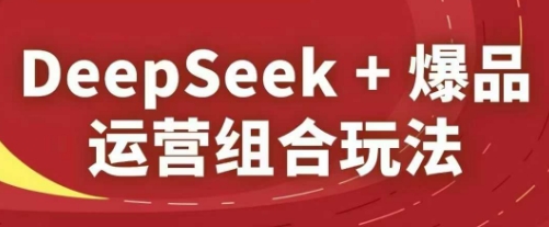 DeepSeek+爆品运营组合玩法，2025淘系精品课-wanlih项目库