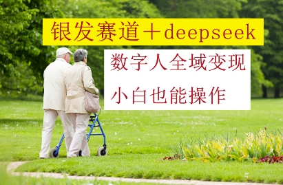 银发赛道+deepseek数字人全域变现，小白也能操作-wanlih项目库