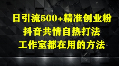 日引流500+精准创业粉，抖音共情自热打法，工作室都在用的方法-wanlih项目库