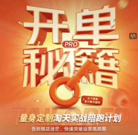 淘宝开单秘籍PRO，量身定制淘天实战陪跑计划，告别做店迷茫、快速突破运营瓶颈期(更新)-wanlih项目库