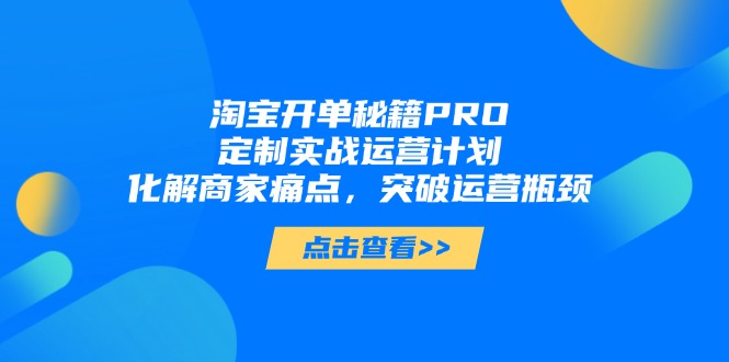 淘宝开单秘籍PRO，定制实战运营计划，化解商家痛点，突破运营瓶颈-wanlih项目库