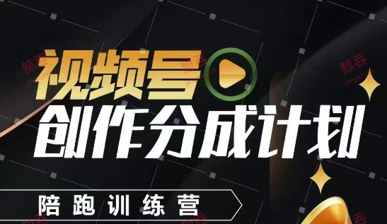 视频号创作分成计划陪跑训练营，手把手教会你如何制作视频，细水长流型项目-wanlih项目库