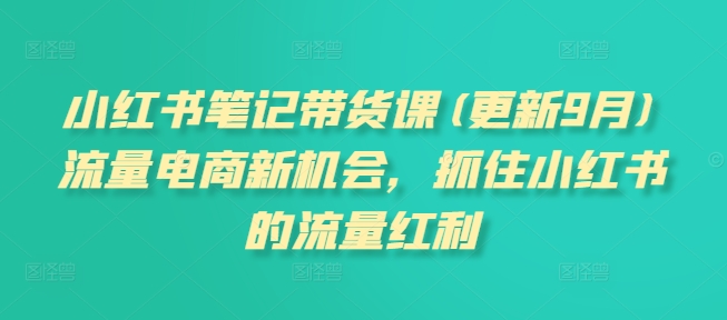 小红书笔记带货课(更新25年4月)流量电商新机会，抓住小红书的流量红利-wanlih项目库
