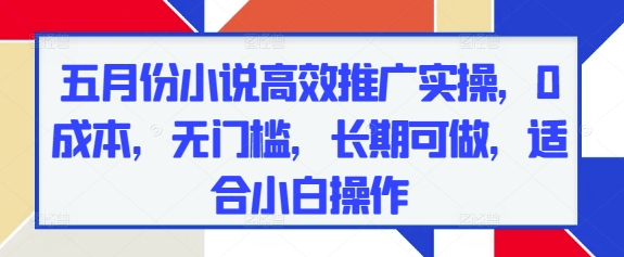 五月份小说高效推广实操，0成本，无门槛，长期可做，适合小白操作-wanlih项目库