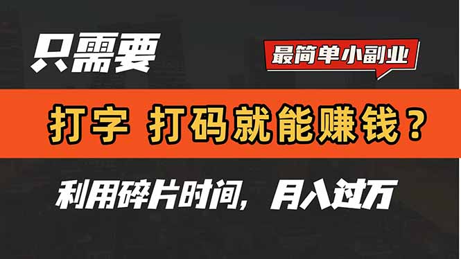 只需要打字，打码，就能赚钱？简单的赚钱小副业，利用碎片时间，月入过万-wanlih项目库