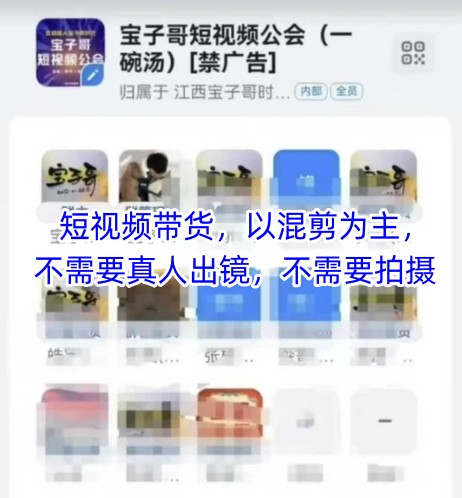 宝子哥头部团队短视频带货，以混剪为主，不需要真人出镜，不需要拍摄-wanlih项目库