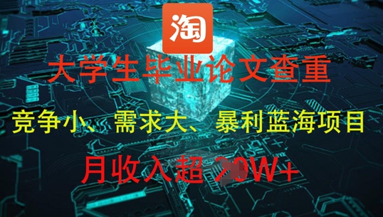 大学生毕业论文查重，暴利蓝海项目，月收入过1W+-wanlih项目库