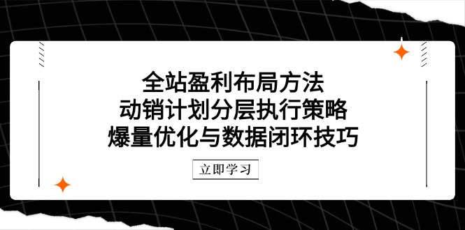 全站盈利布局方法：动销计划分层执行策略，爆量优化与数据闭环技巧-wanlih项目库
