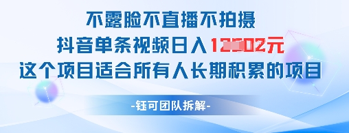 不露脸不直播不拍摄抖音单条视频日入1k+这个项目适合所有人长期积累的项目-wanlih项目库