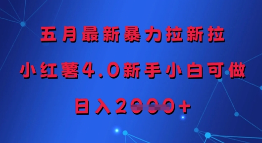 五月最新暴力拉新拉，小红薯4.0新手小白可做，日入多张-wanlih项目库
