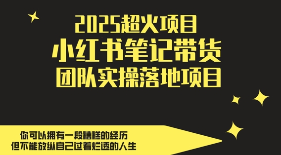 2025超火项目，副业最佳选择，小红书笔记带货团队实操落地项目，，轻松日入5张-wanlih项目库