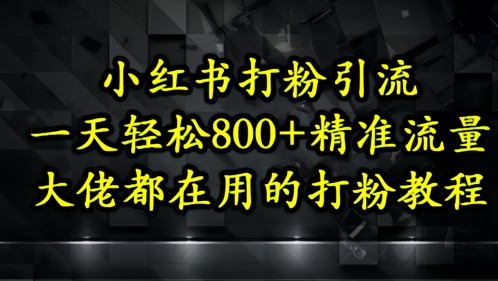 小红书打粉引流，一天轻松500+精准流量，大佬都在用的打粉教程-wanlih项目库